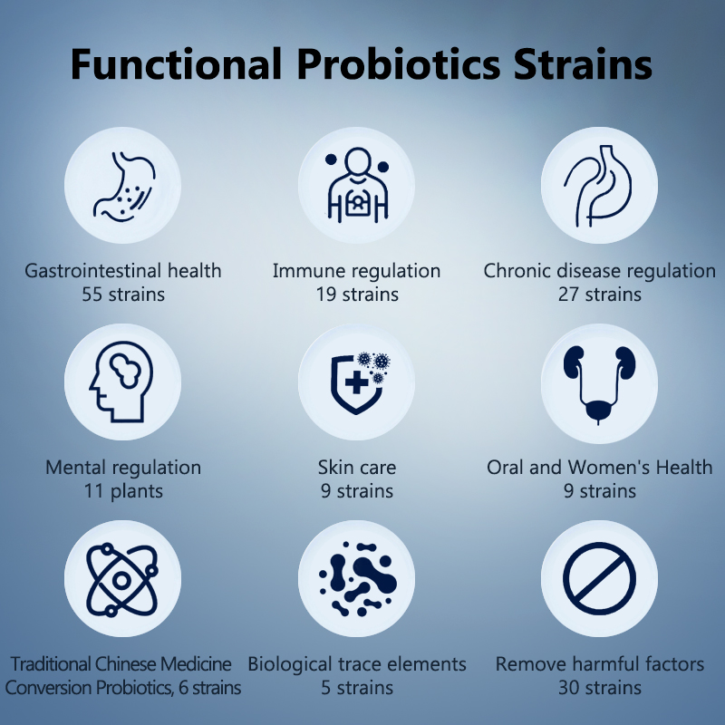 OEM Service Lactobacillus Reuteri Probiotic Powder 10 Billion CFU/g Bulk Supply Nactivated Probiotics For Gut Digestive Health