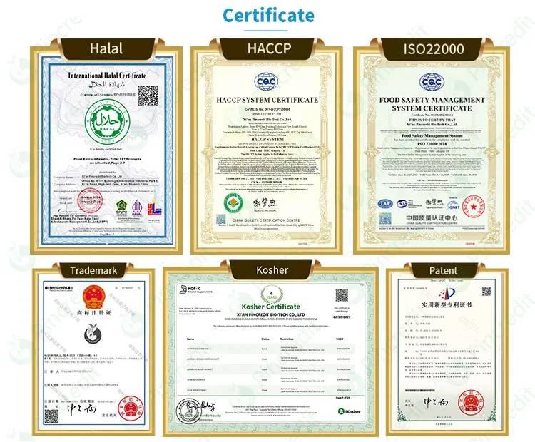 Wholesale Epsilon Polylysine E-Polylysine Powder Natural Food Preservative Epsilon-Polylysine