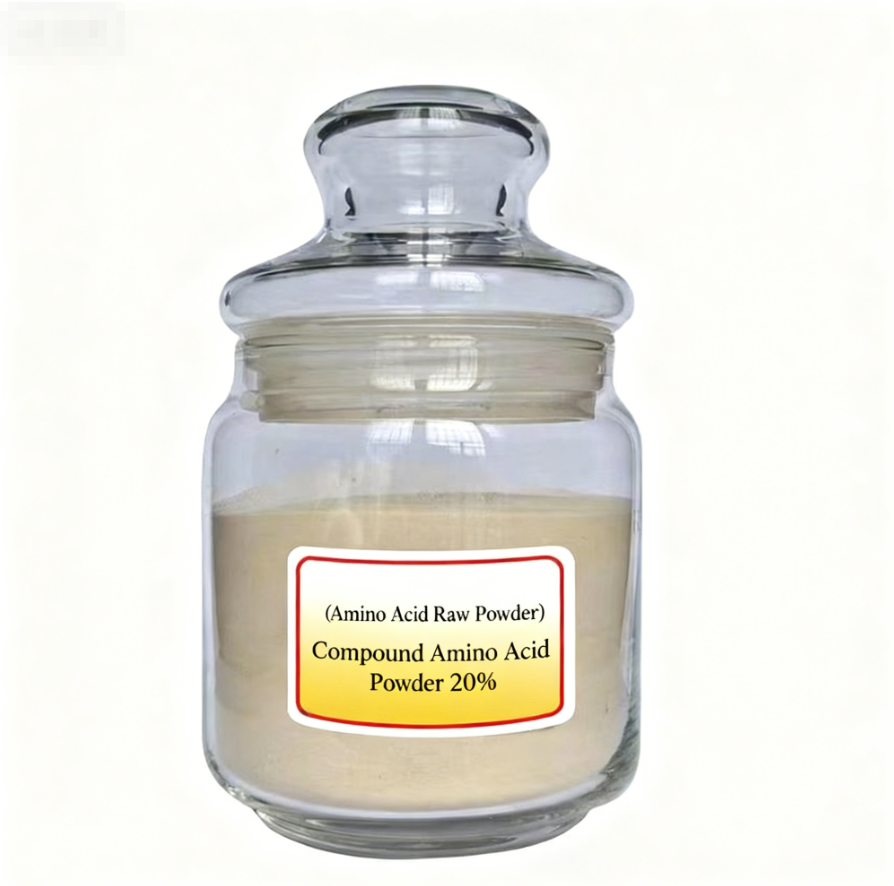 Product Description Image 1