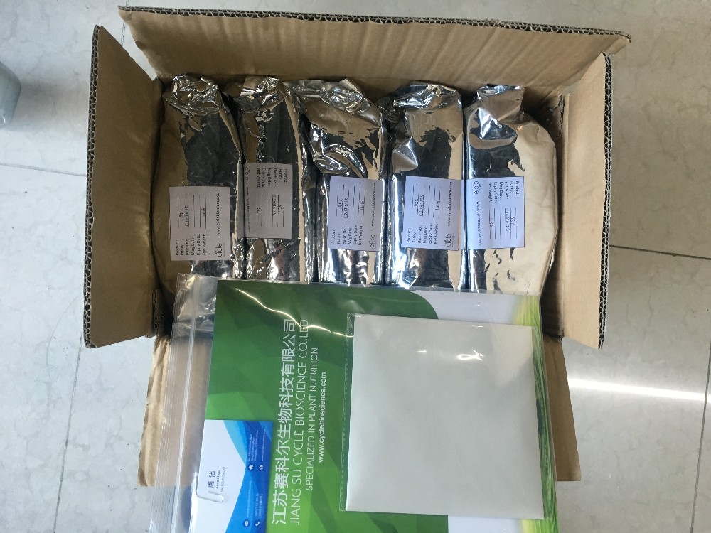 Warehouse shipment
