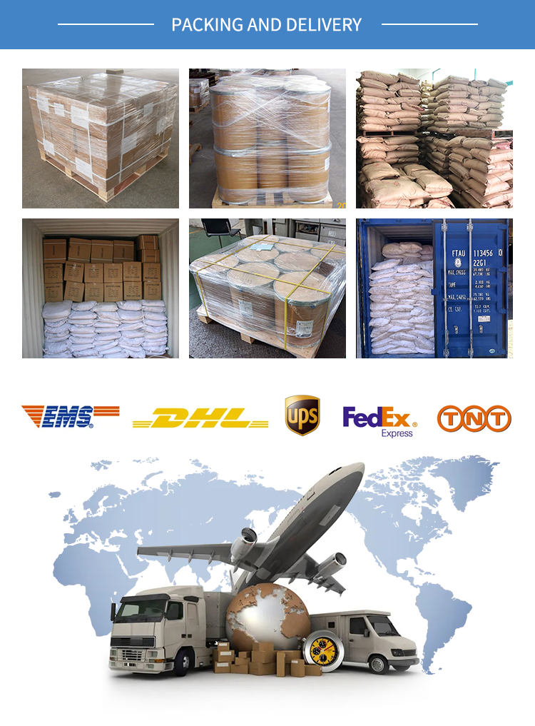 Organic Chemicals 99.9% Purity Pma CAS No 108-65-6 Propylene Glycol Methyl Ether Acetate