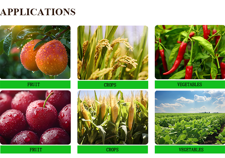 Product Application View 2