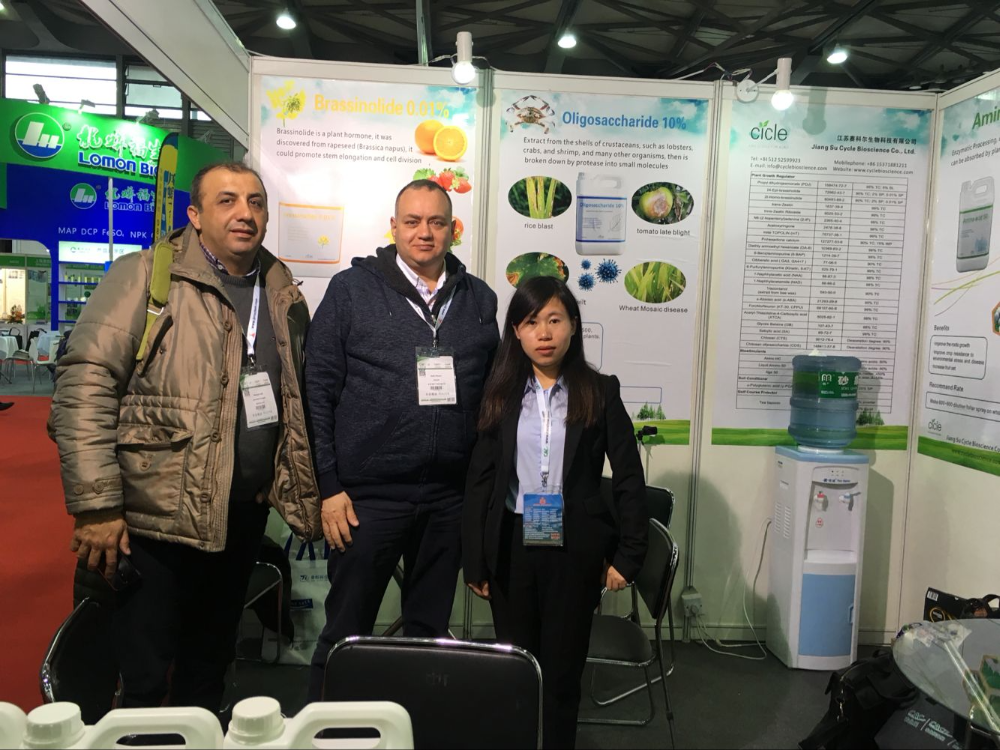 Exhibition Booth 4