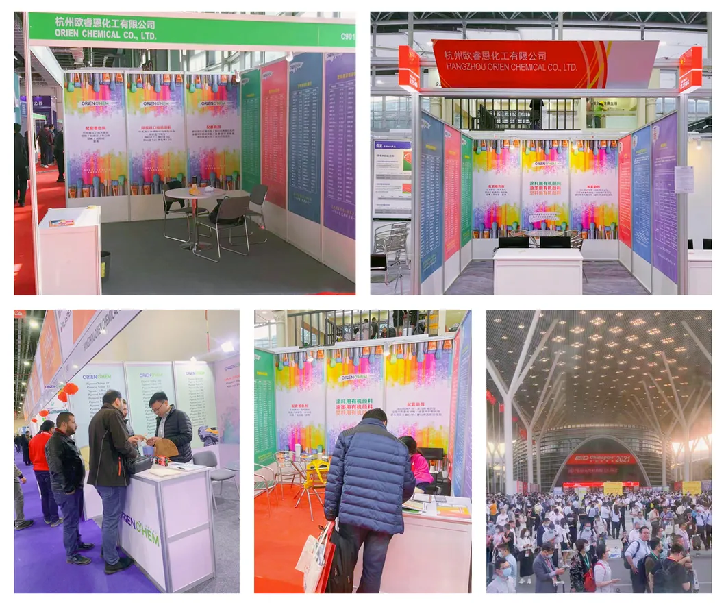 Exhibitions in China and overseas