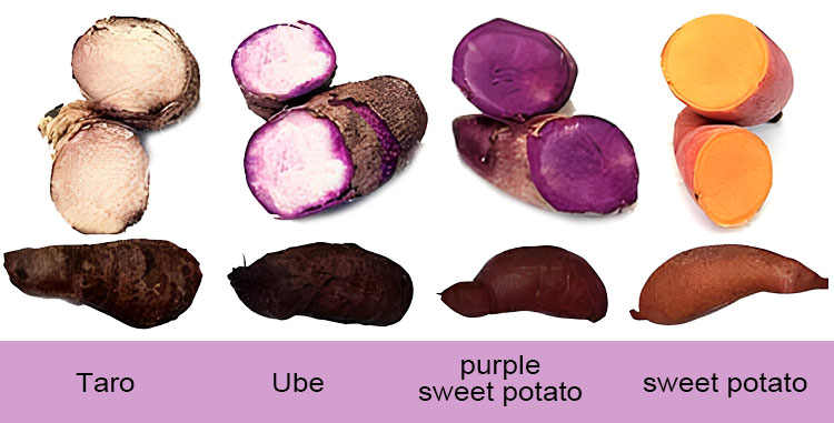 Comparison between Ube and Purple Sweet Potato