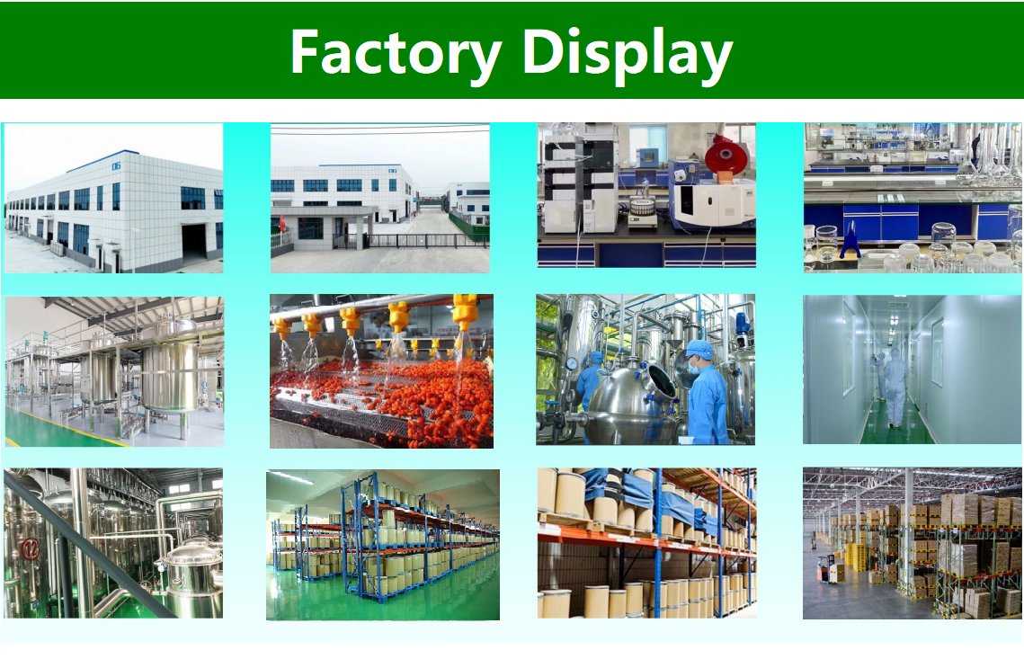 Factory Facility 2