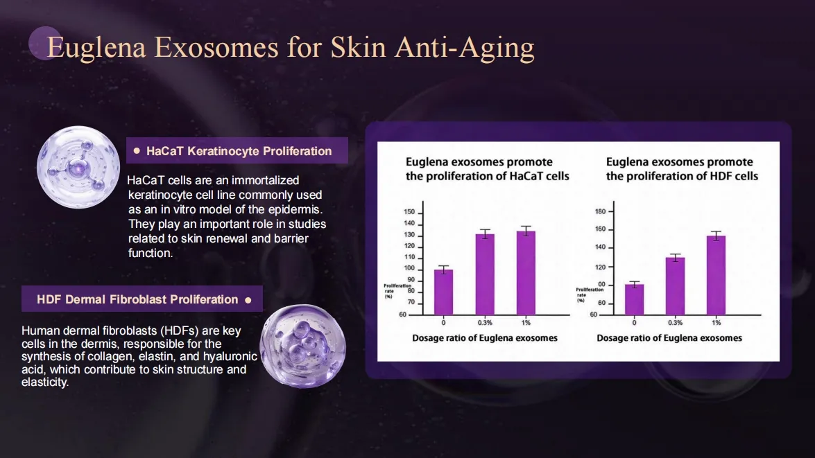 Euglena Microneedle Exosome Kit 7