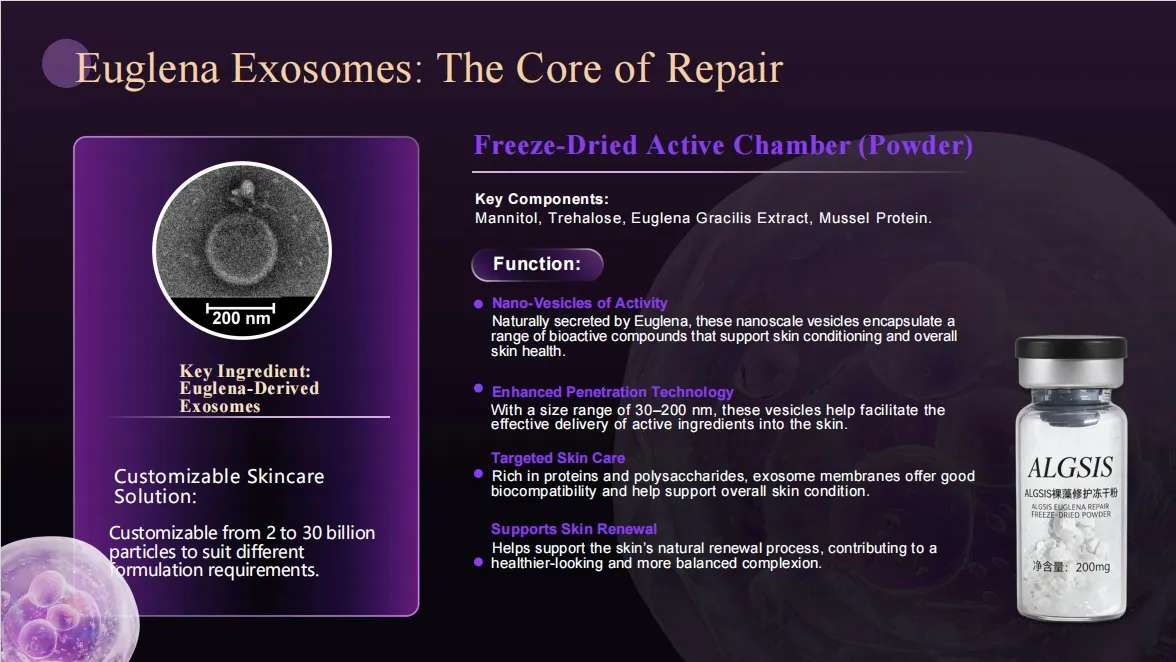 Euglena Microneedle Exosome Kit 1