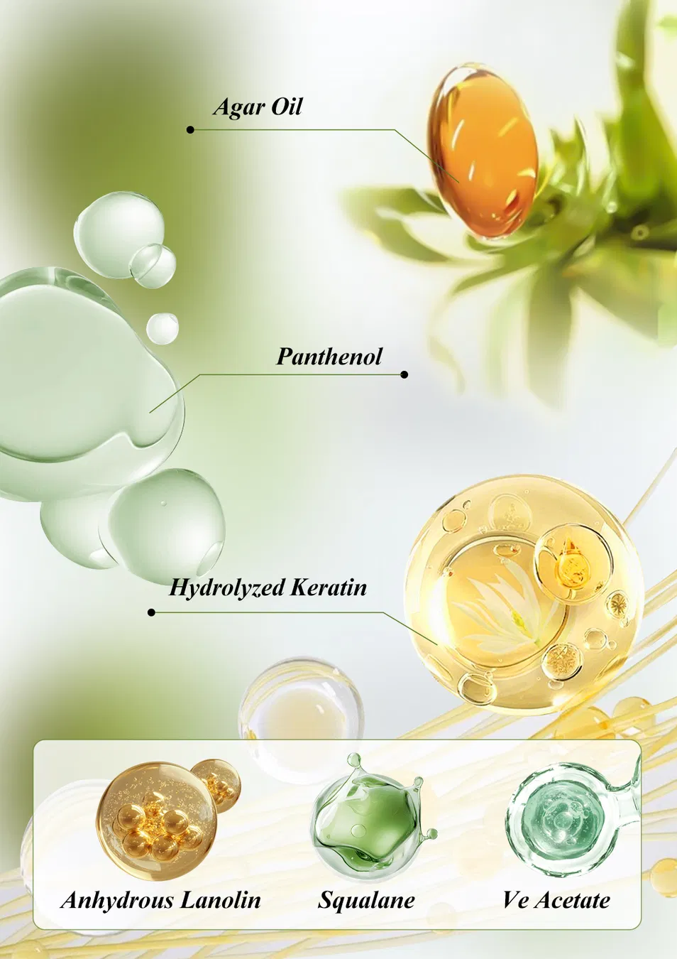 Key Ingredients Display