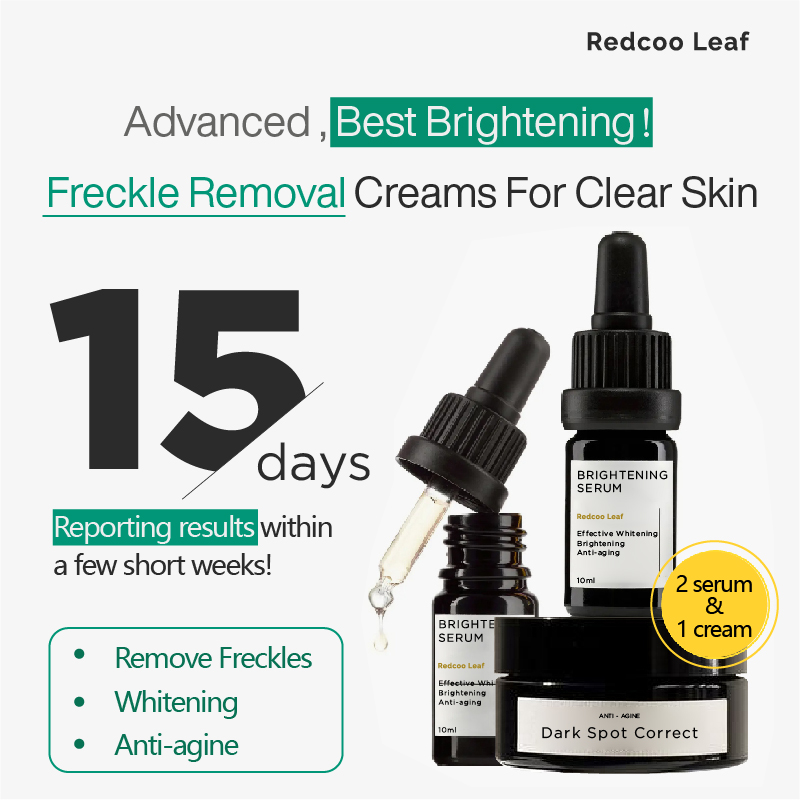 Private Label Dark Spot Corrector Skincare Set Brightening Serum and Face Cream 2-In-1 Anti Aging Hyper-pigmentation Kit
