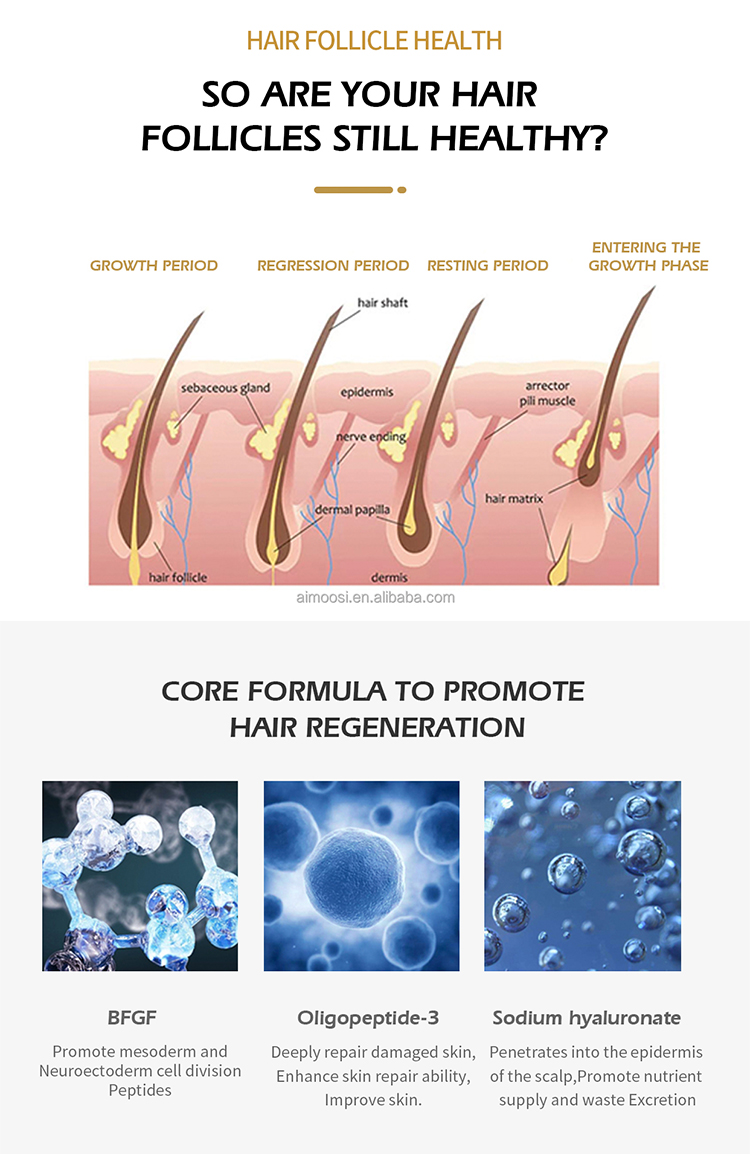 Anti Hair Loss Treatment for Hair Loss Prevention Scalp Ampoule Hair Serum with Stem Cell Essence