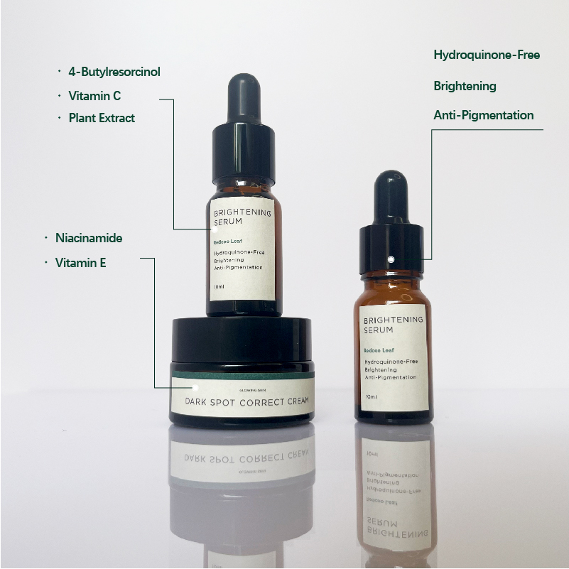 Private Label Dark Spot Corrector Skincare Set Brightening Serum and Face Cream 2-In-1 Anti Aging Hyper-pigmentation Kit