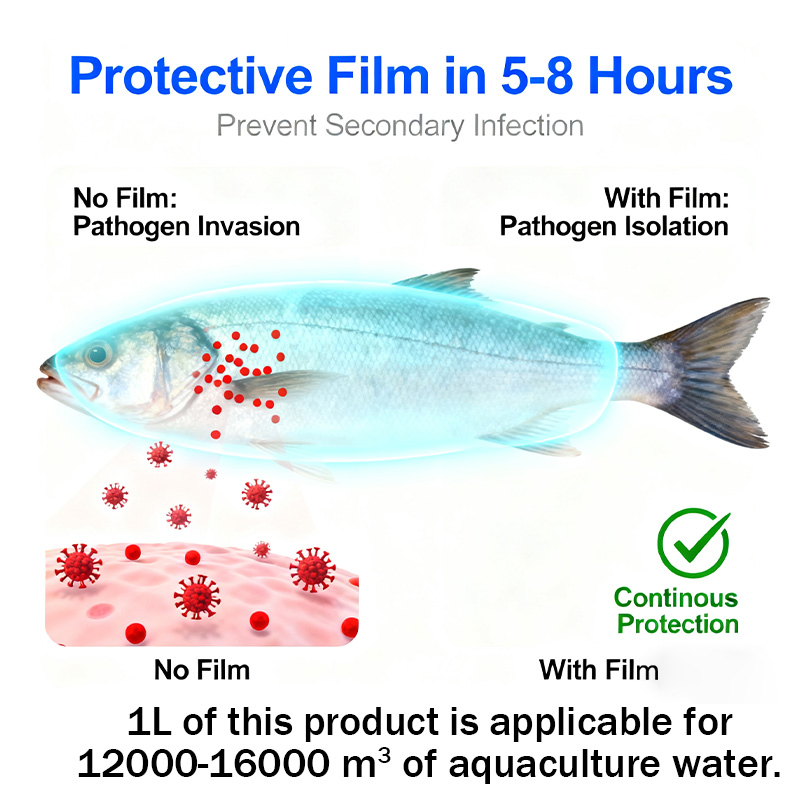 Protective Barrier Treatment Cy Aquatic Safe Forms Protective Film on Fish Skin