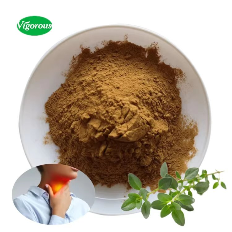 High Pure Organic Thymus Vulgaris Extract Thyme Extract Powder