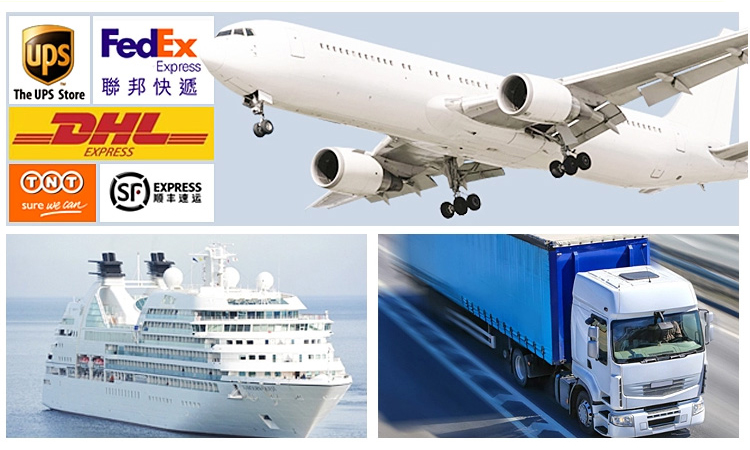 Shipping Logistics