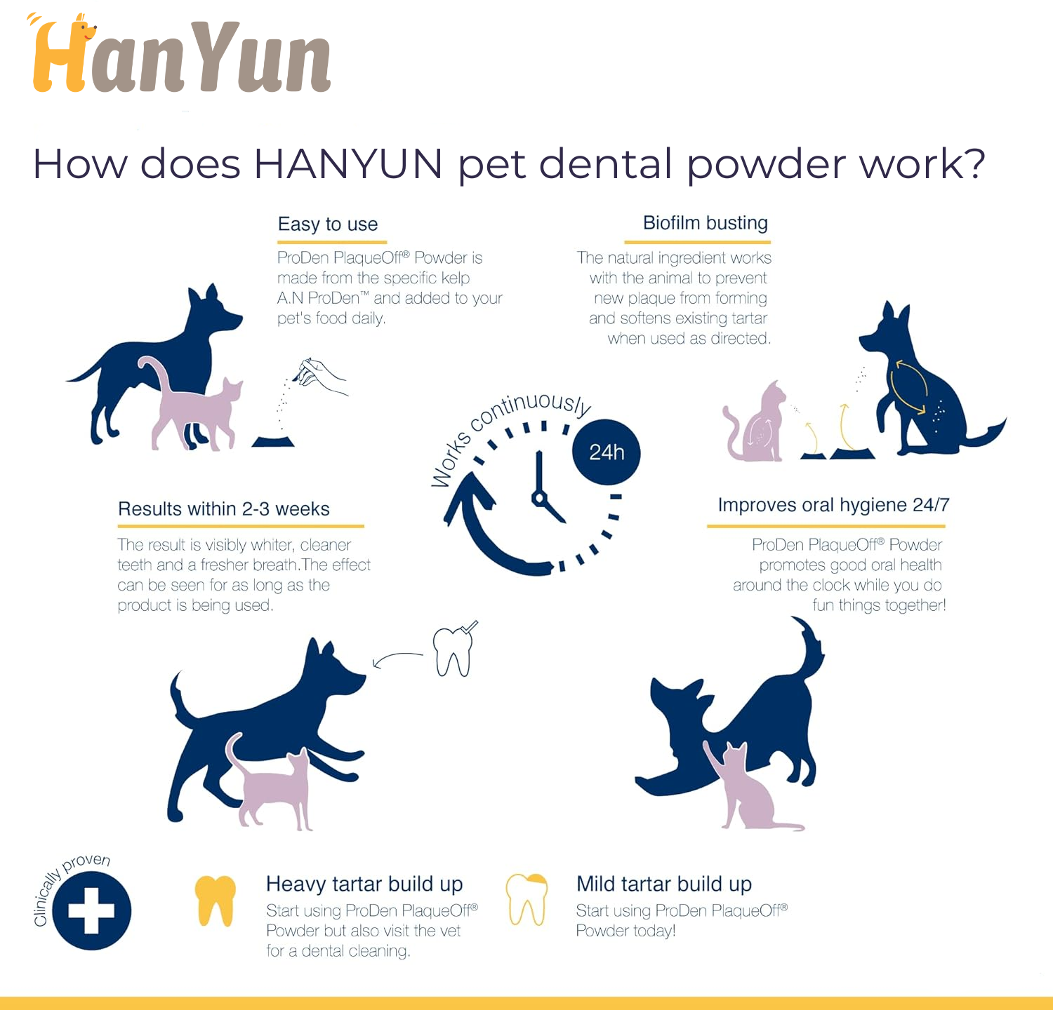 Pet Dental Chart