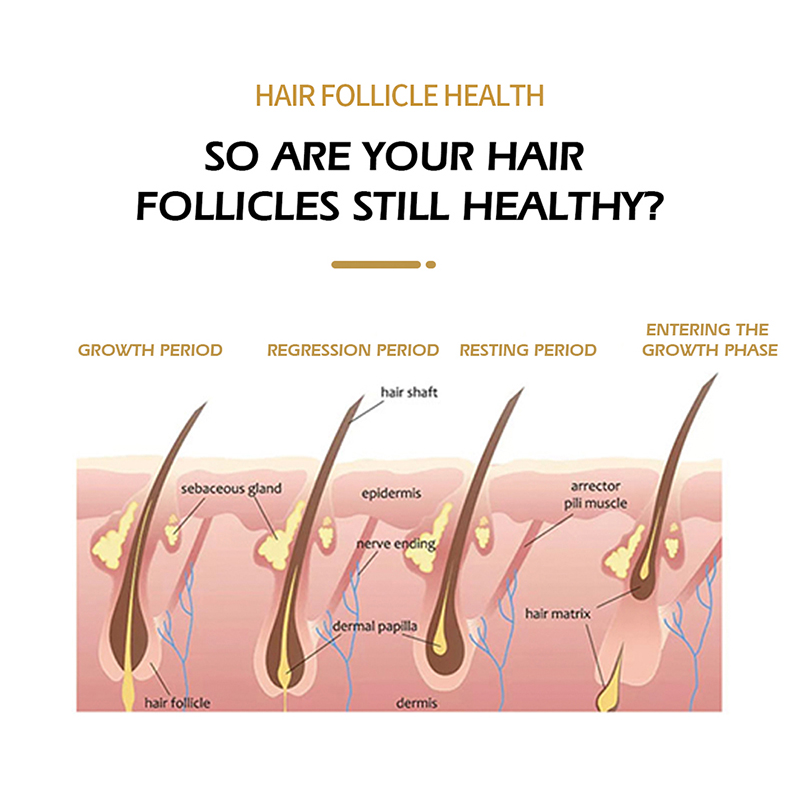 Anti Hair Loss Treatment for Hair Loss Prevention Scalp Ampoule Hair Serum with Stem Cell Essence