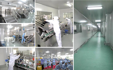Factory Facility 2
