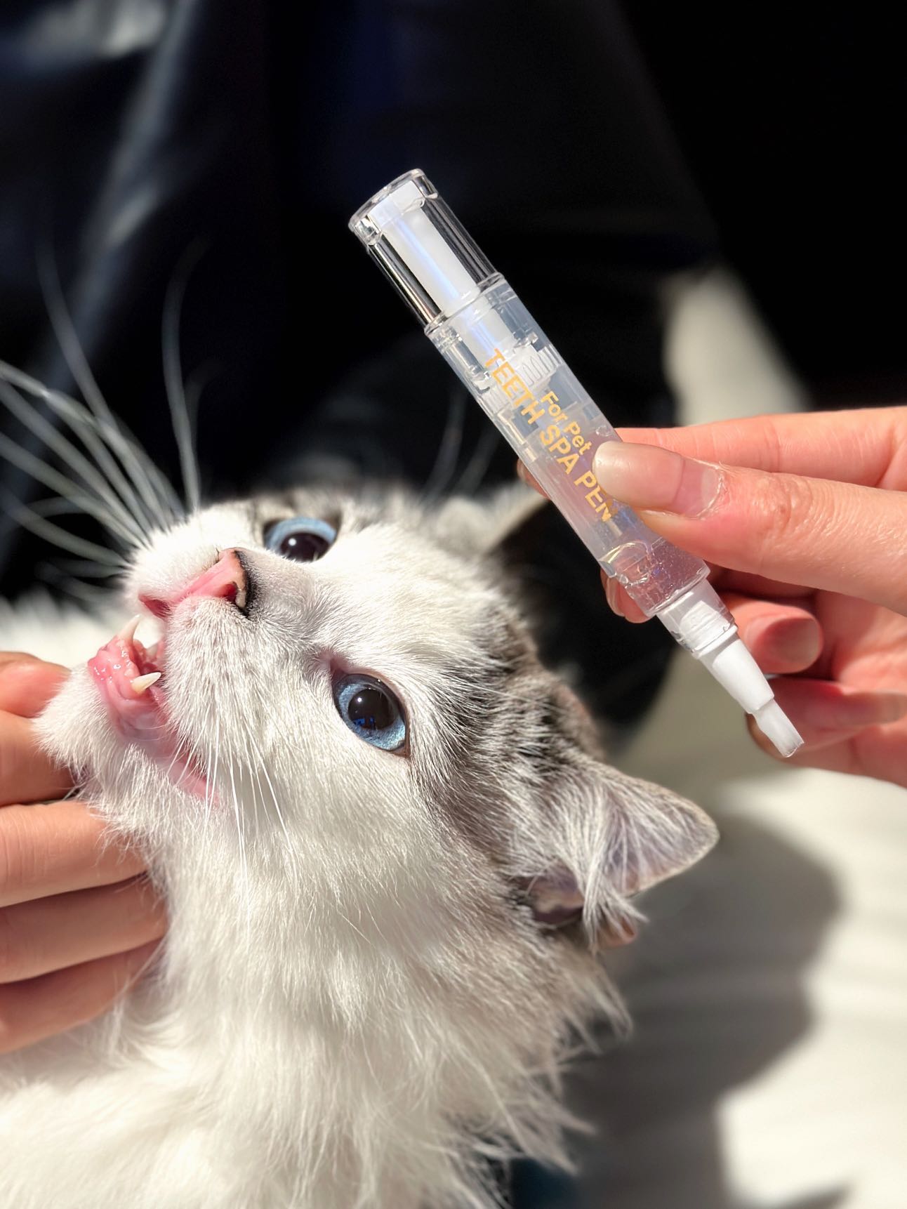 Dog &amp; Cat Teeth Cleaning Brush Gel Tartar Plaque Remover Fresh Breath Tooth Stain Deodorant Repair Gum Non Toxic Oral Care