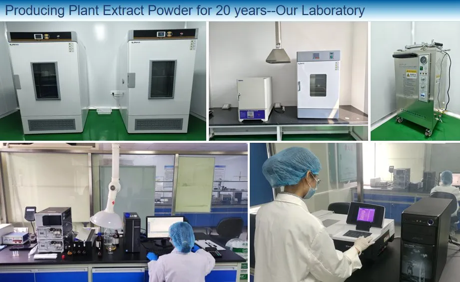 Laboratory testing equipment