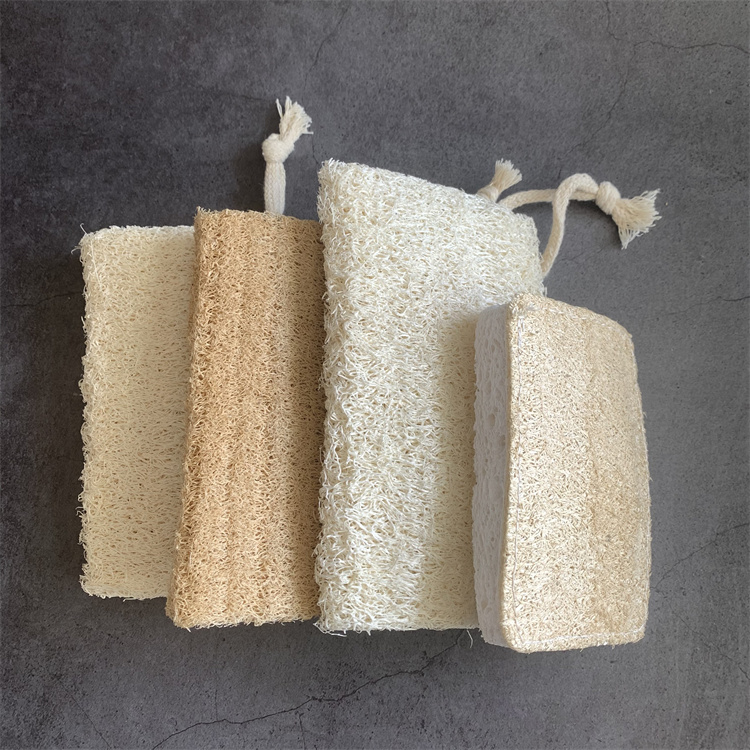 Loofah detail 9