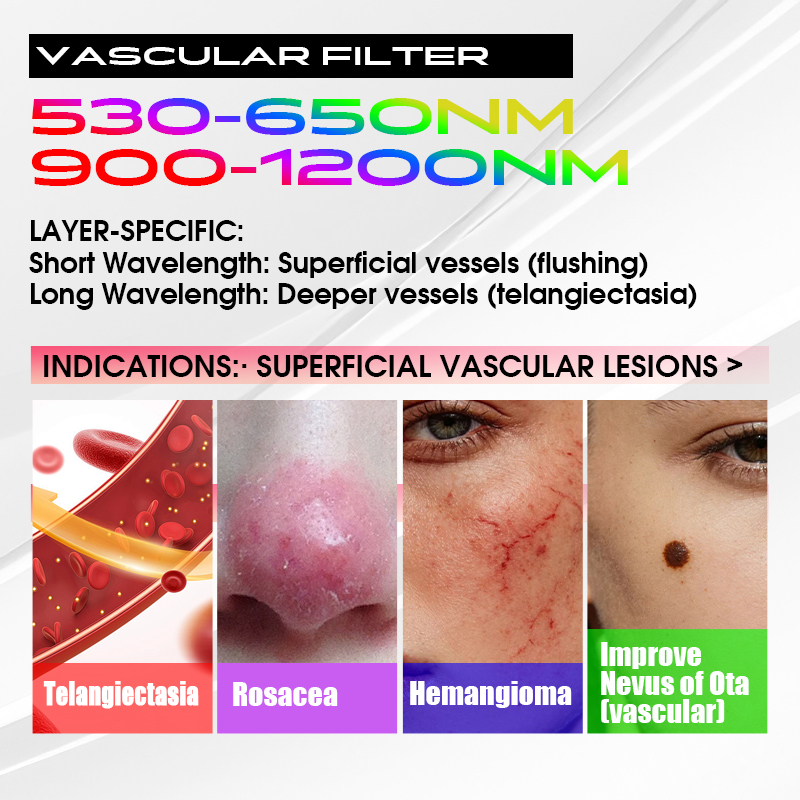 Vascular Filter spectrum