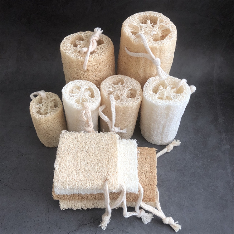 Loofah detail 4