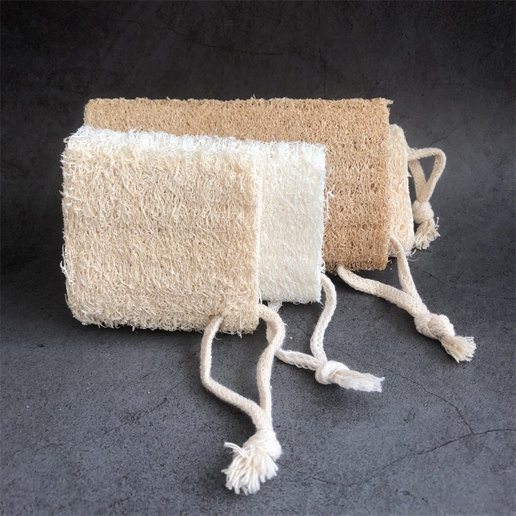 Loofah detail 5