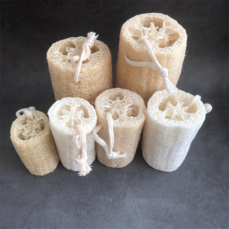 Loofah detail 3