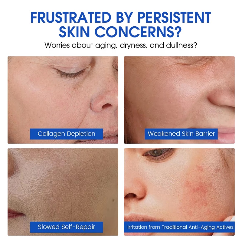 Private Label Anti-Aging Firming Moisturizing Face Cream with GHK-Cu Copper Peptide and Retinol OEM ODM Skin Care Creams