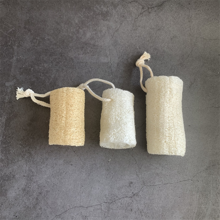 Loofah detail 6