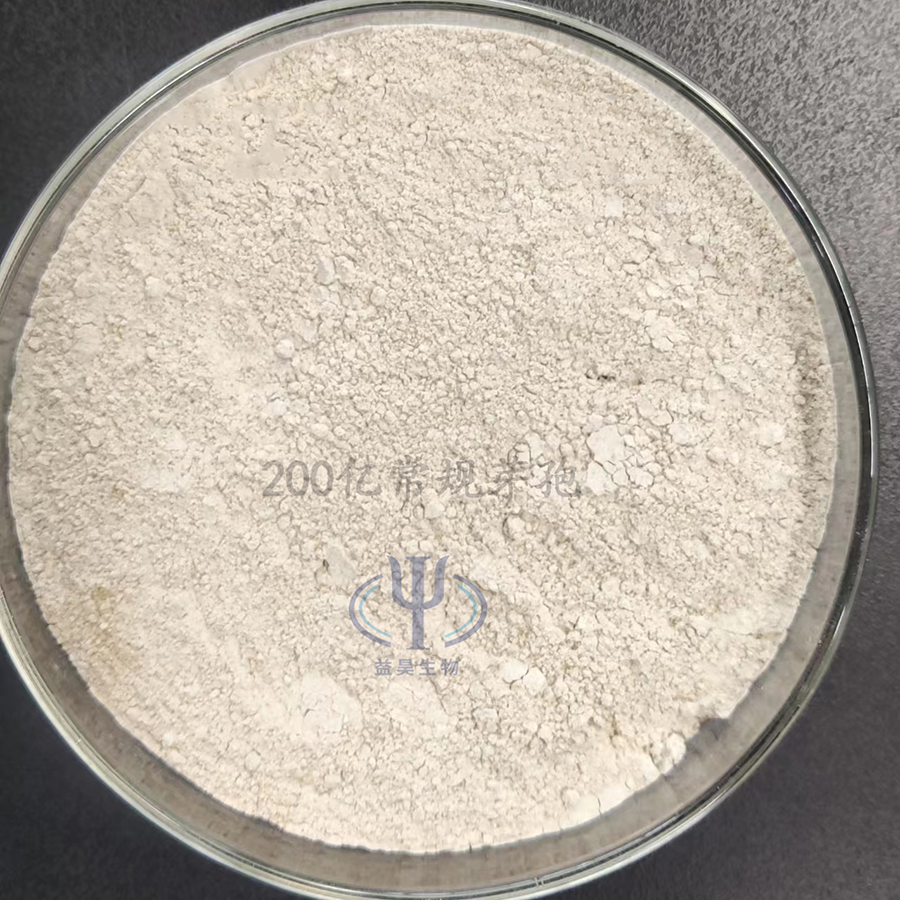 Wholesale Effective Microorganisms EM 100 Billion Bacillus Subtilis Probiotics For Intestinal Regulation