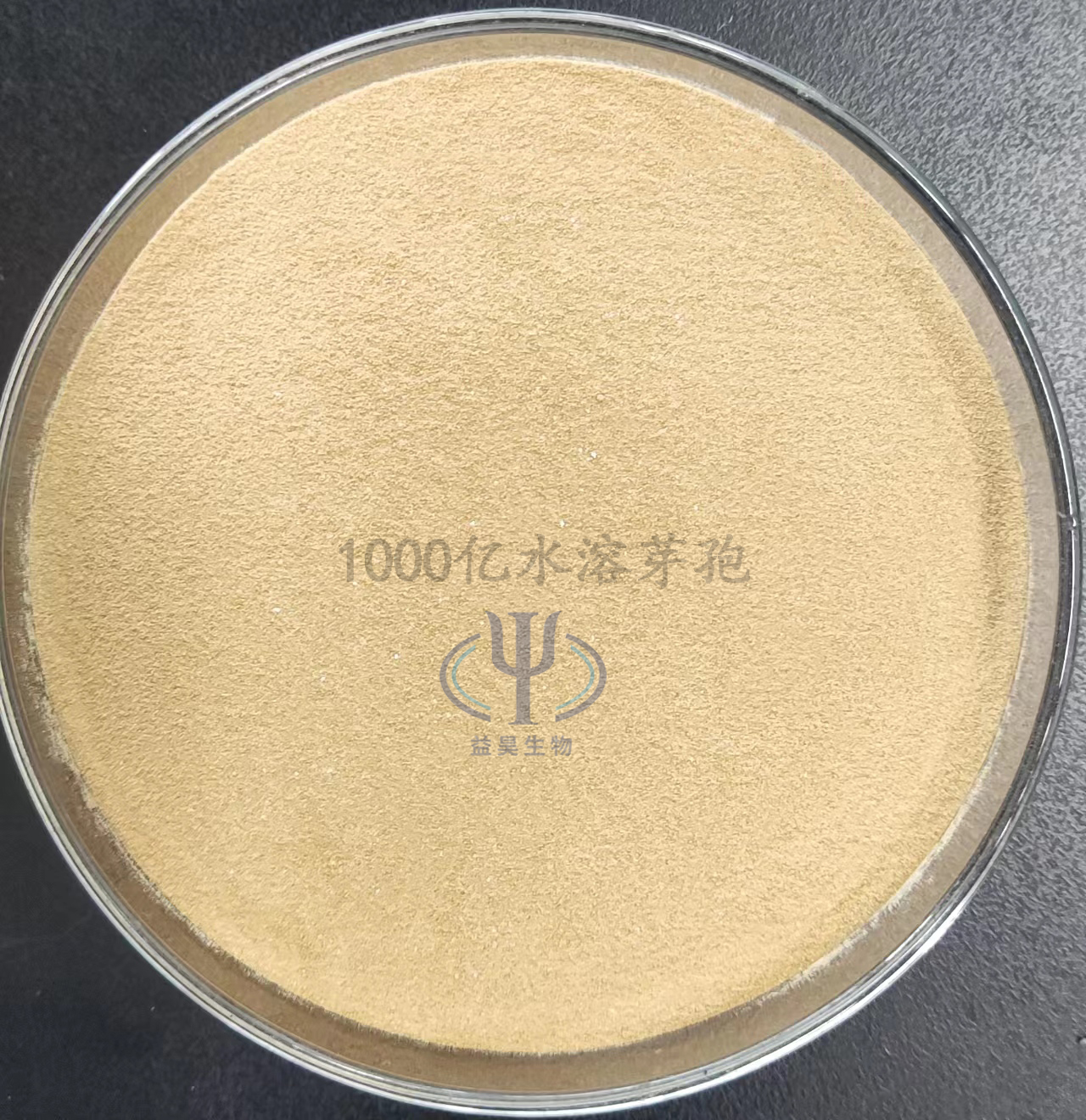 Wholesale Effective Microorganisms EM 100 Billion Bacillus Subtilis Probiotics For Intestinal Regulation