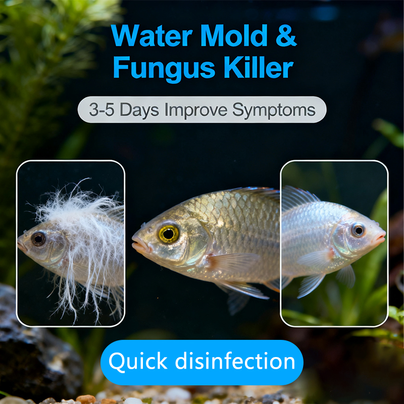 Protective Barrier Treatment Cy Aquatic Safe Forms Protective Film on Fish Skin