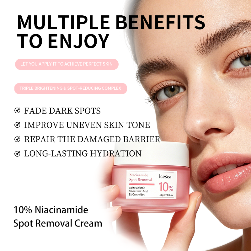 Private Label 10% Niacinamide Cream Face Moisturizer Dark Spots Corrector Hyperpigmentation Fading Brightening Age Defying OEM