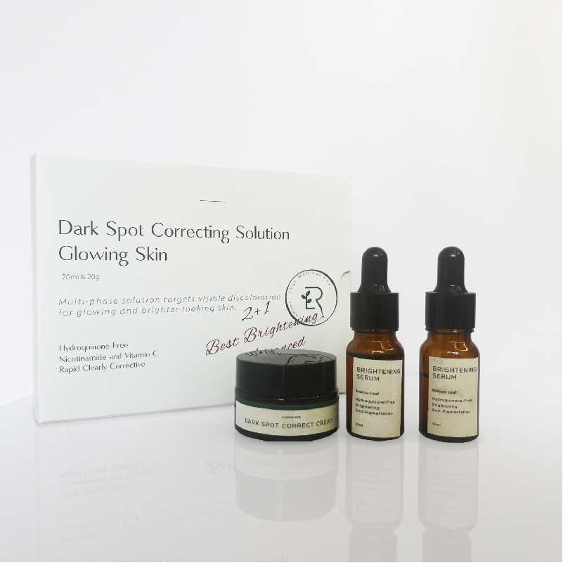 Private Label Dark Spot Corrector Skincare Set Brightening Serum and Face Cream 2-In-1 Anti Aging Hyper-pigmentation Kit