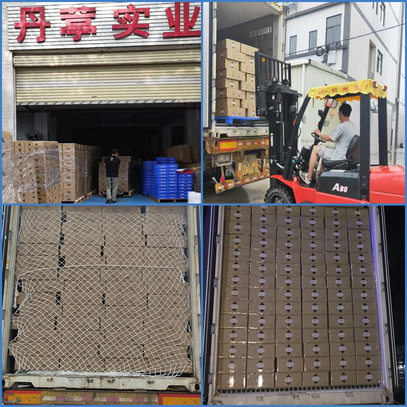 Packing and Delivery
