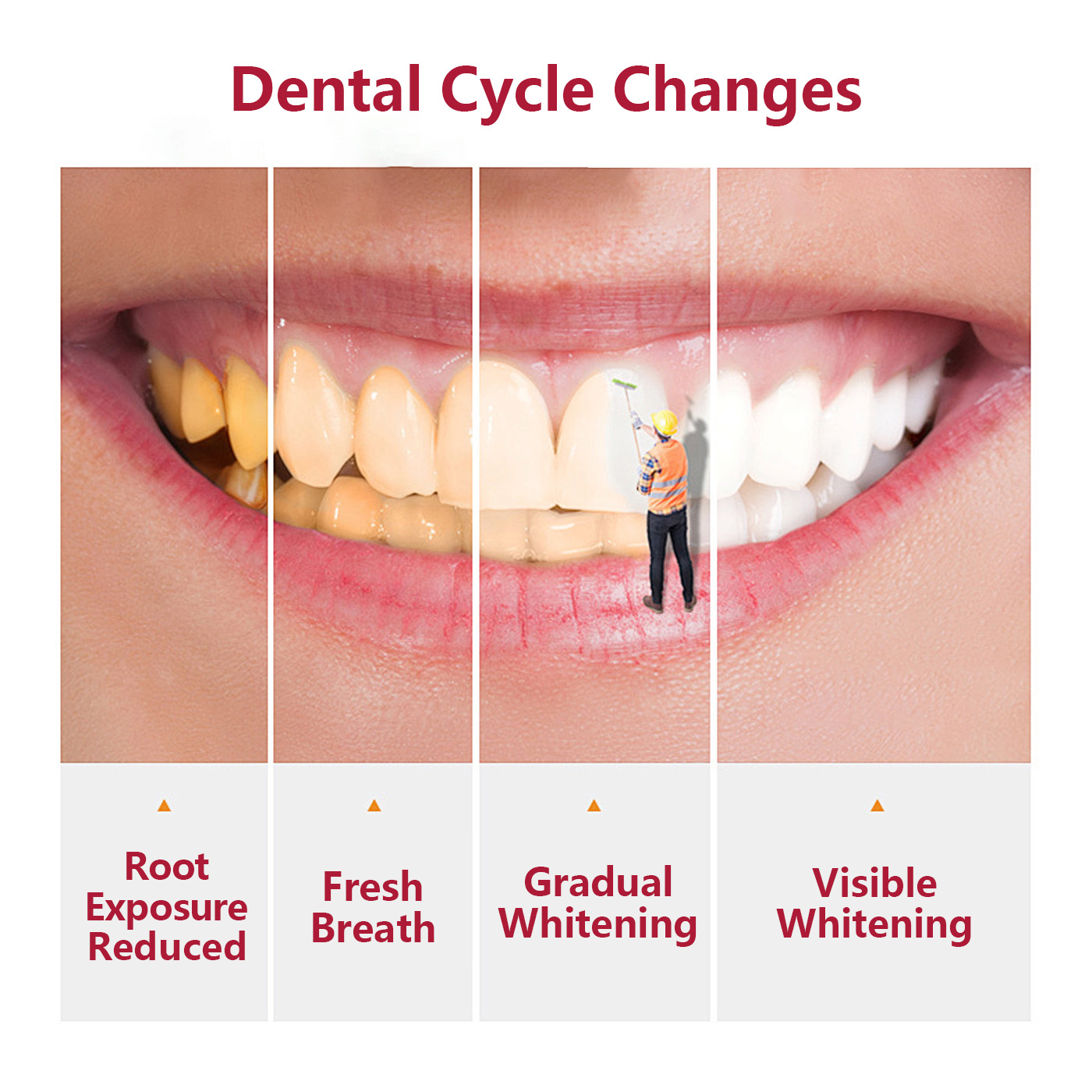 Probiotic Whitening Toothpaste Oral Microbiome Balance Stain Removal Fresh Breath Private Label