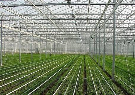 Greenhouses