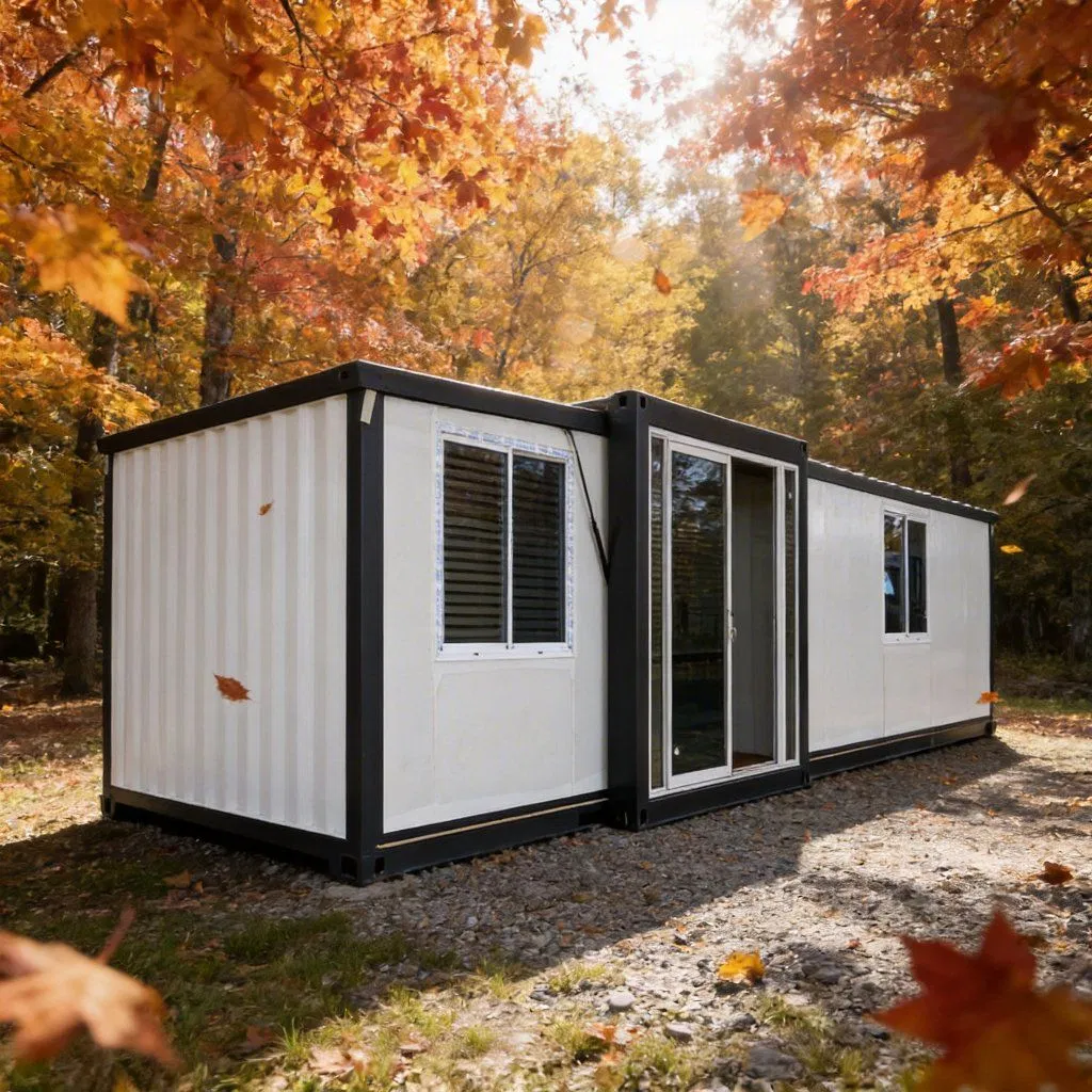30FT Casa Cápsula Espacial Inteligente Expandible Casa Modular Prefabricada
