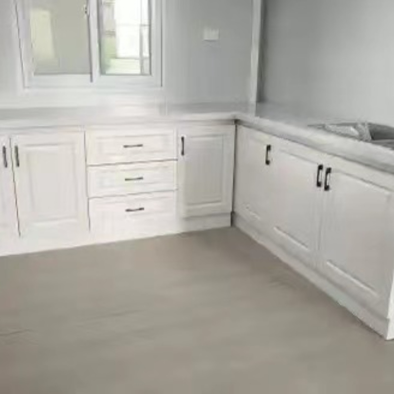 Hogares modulares prefabricados modernos para soluciones de vida sostenible