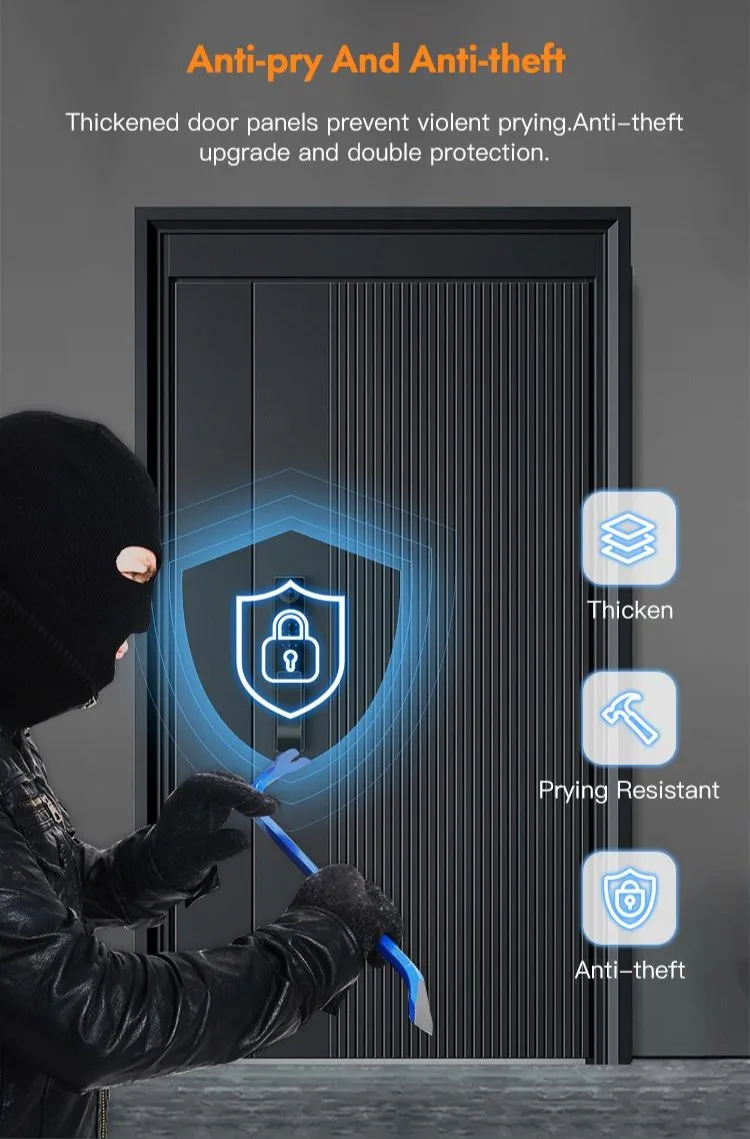 Security Door 1