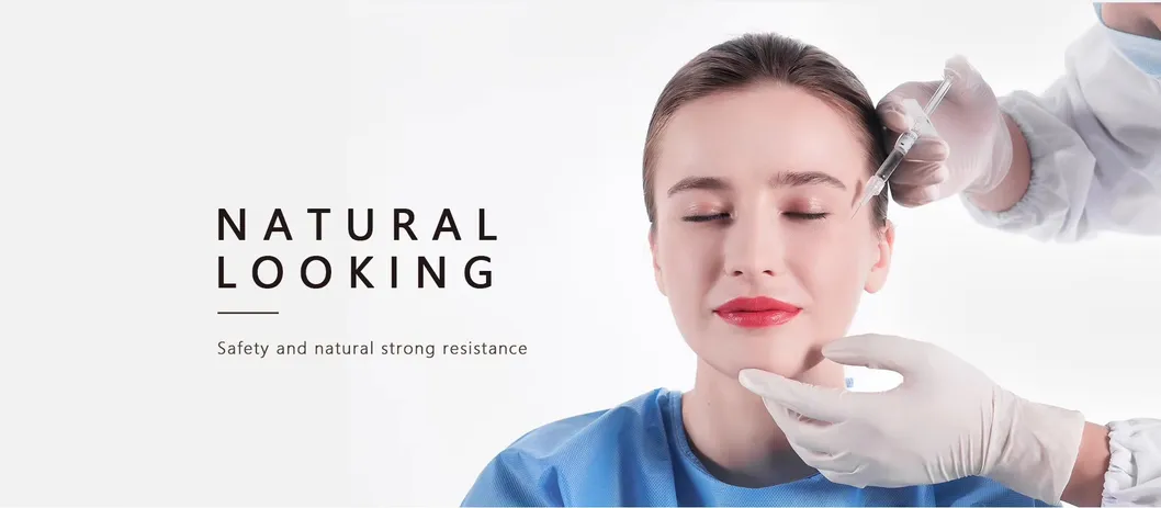 Estructura Singderm