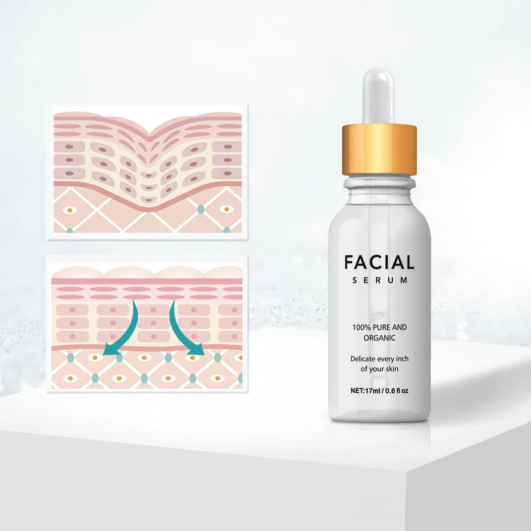Crea Tu Propia Marca Ácido Hialurónico Puro Vitamina B5 Reparar Barrera Cutánea Reposición de Hidratación Suero Facial