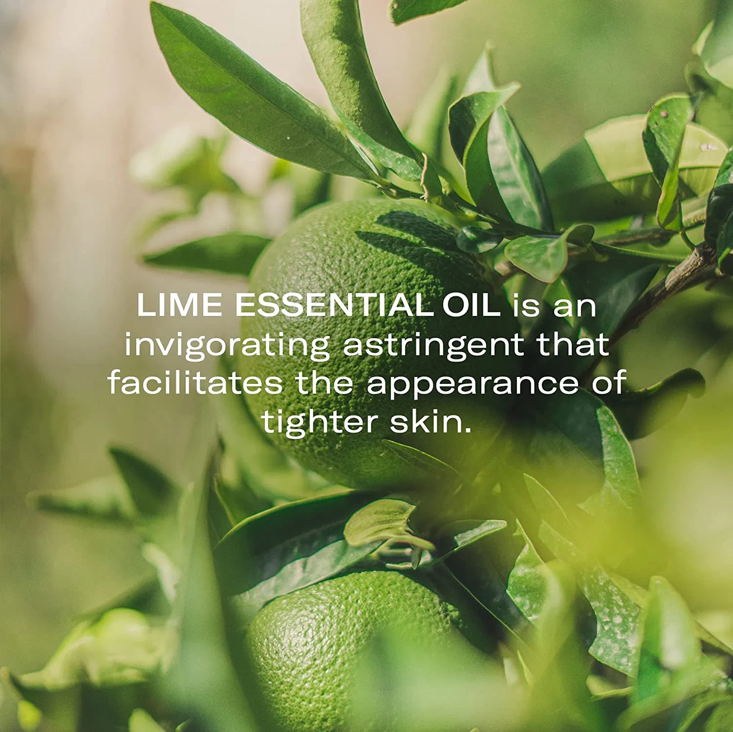Aceite Limpiador Facial Hidratante Control de Aceite de Marca Propia
