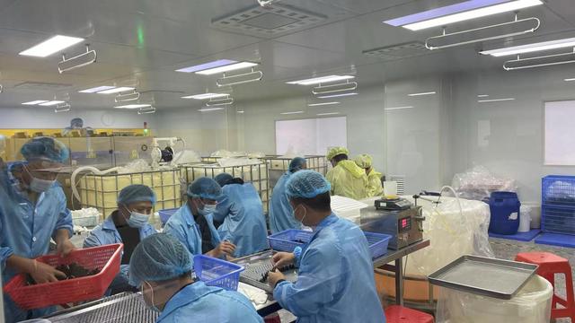 Inspección visual y control físico de viales de suero