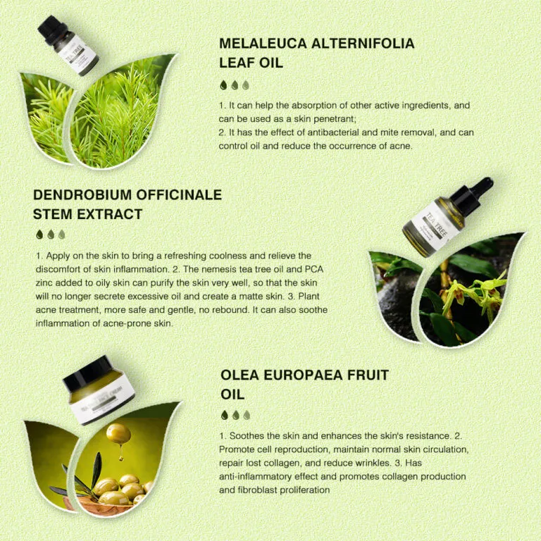 Conjunto de cuidado de la piel de crema facial de suero de aceite de árbol de té hidratante, calmante, reparador, antiacné y antienvejecimiento