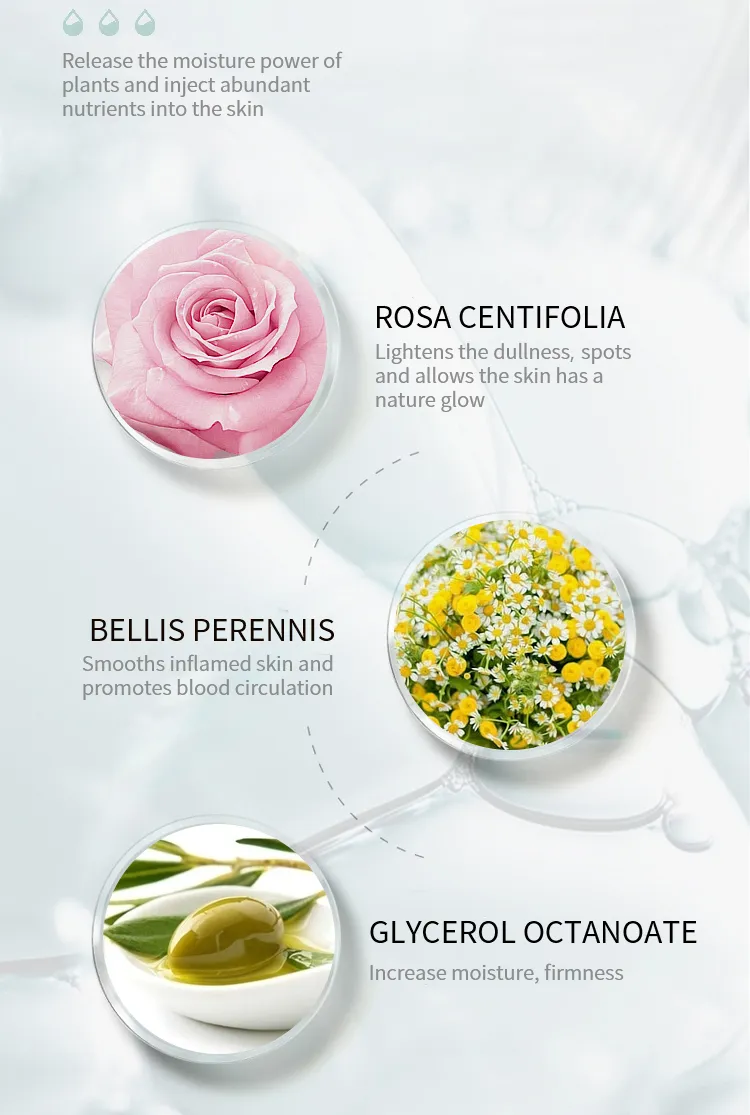 Producto Orgánico de Cuidado de la Piel Suero Vitamina B3 Blanqueador Antienvejecimiento Reduce Poros Suero de Niacinamida