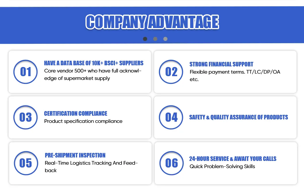 Company Advantage 1