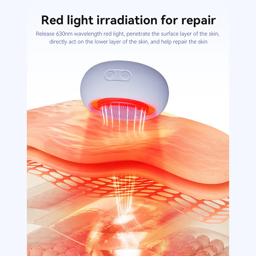 Wholesale Waterproof Rechargeable Skincare Facial Cleansing Device Silicone Electric EMS Red Light Therapy Face Cleaning Brush